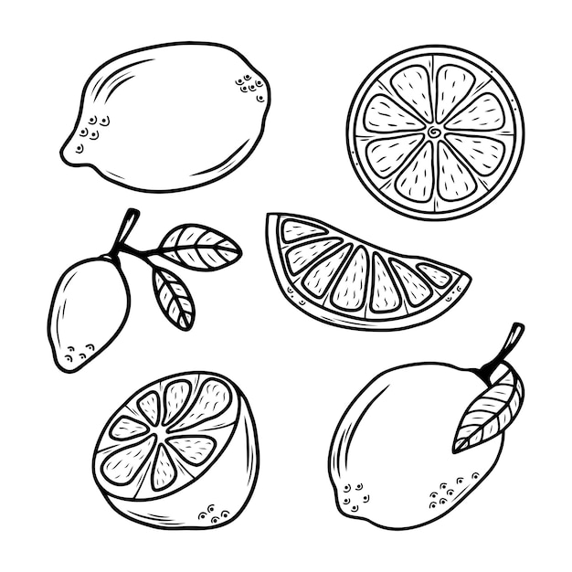 Dibujos de limones para colorear