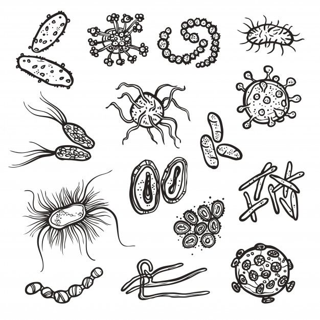 Dibujos de virus bacterias para colorear