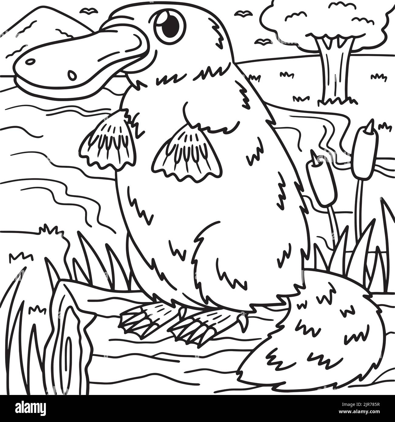 Dibujos de perry ornitorrinco bebe para colorear