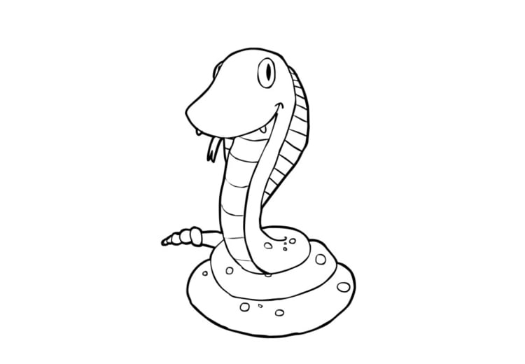 Dibujos de animales reptan para colorear