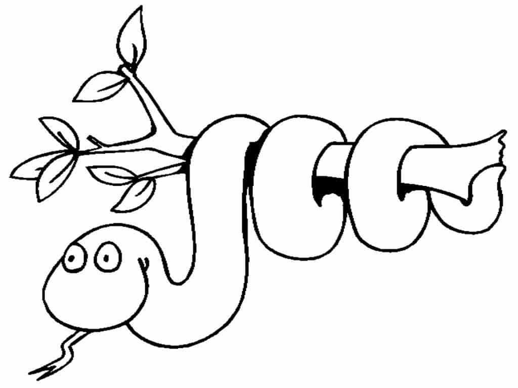 Dibujos de animales reptan para colorear