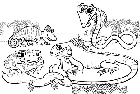 Dibujos de animales reptan para colorear