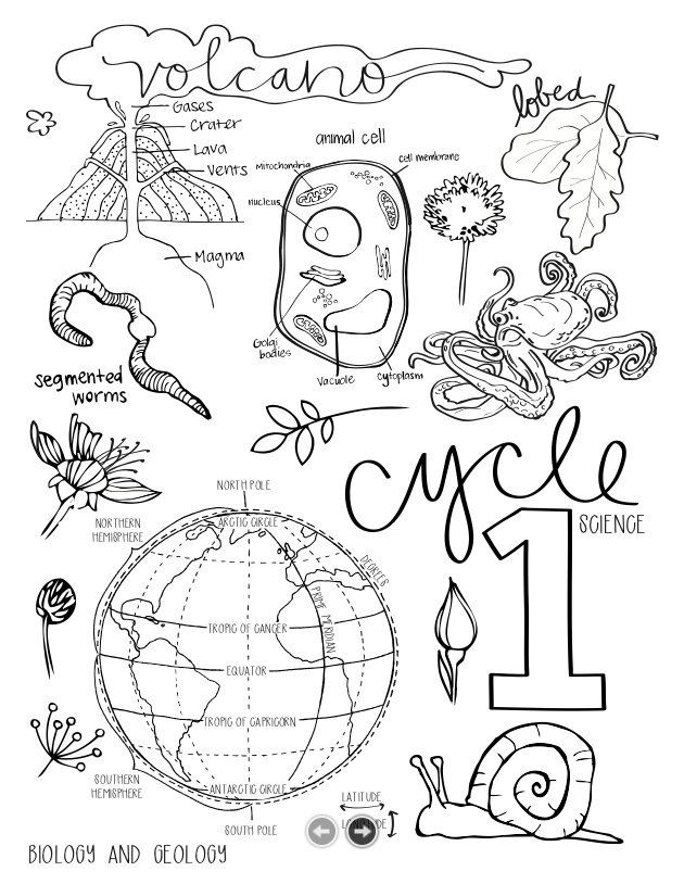 Dibujos De Portada Natural Science Para Colorear Vsun Dibujos De Portada Natural Science Para Colorear Vsun