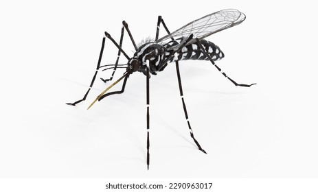 Dibujos de dengue para colorear