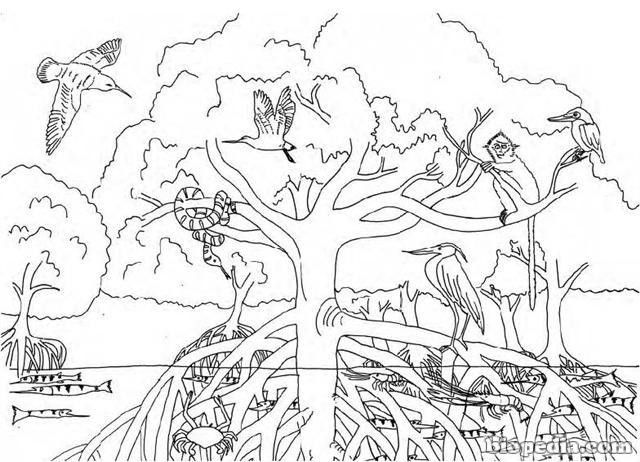 Dibujos de mangle para colorear