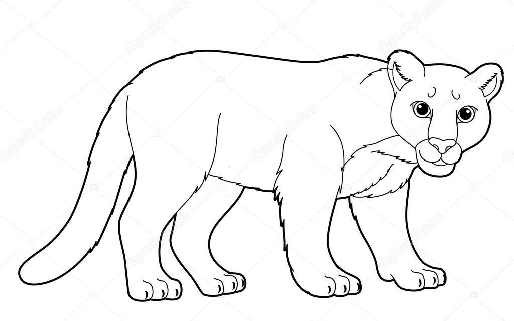 Dibujos de puma para colorear