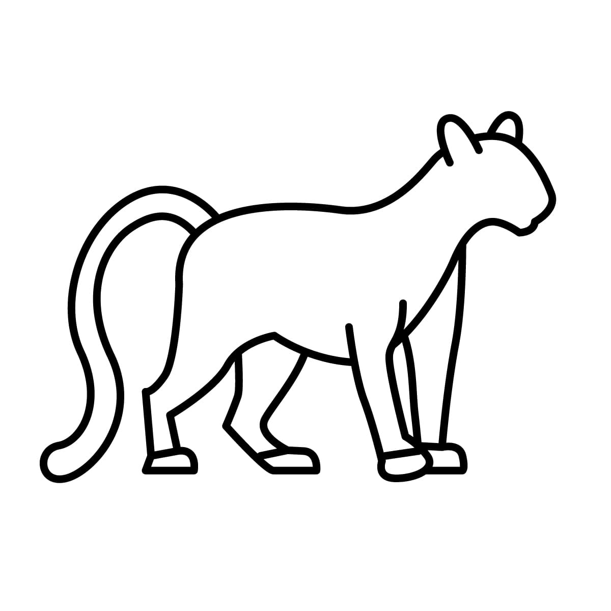 Dibujos de puma para colorear