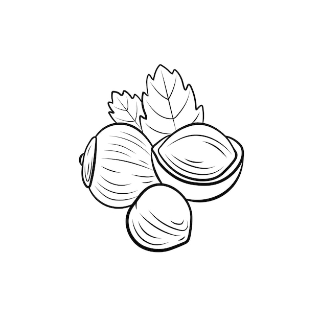 Dibujos de avellanas para colorear | vsun