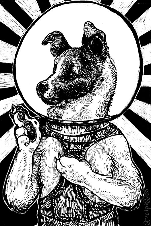 Dibujos de laika para colorear