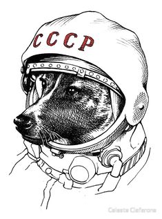 Dibujos de laika para colorear