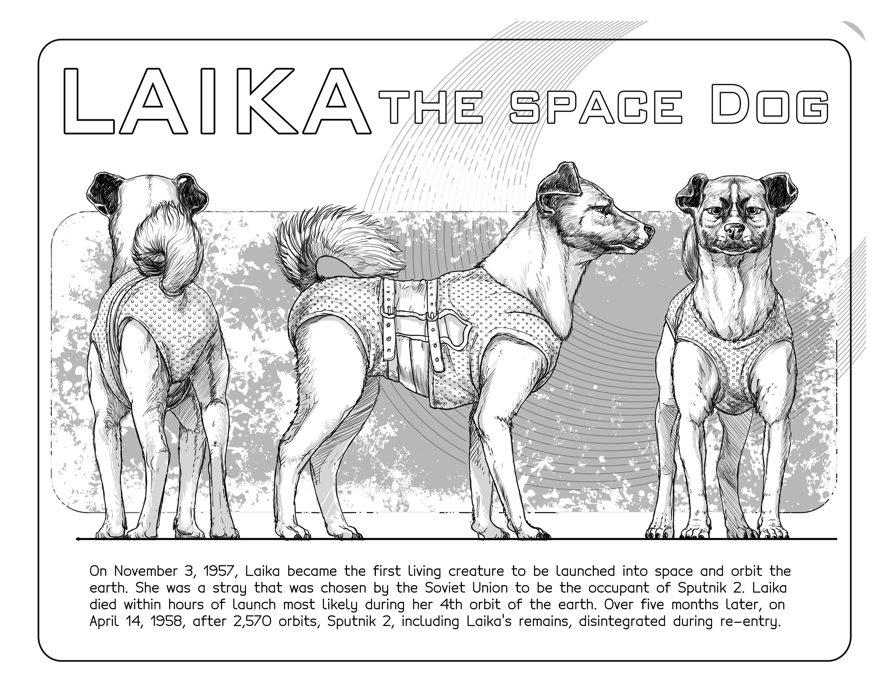 Dibujos de laika para colorear
