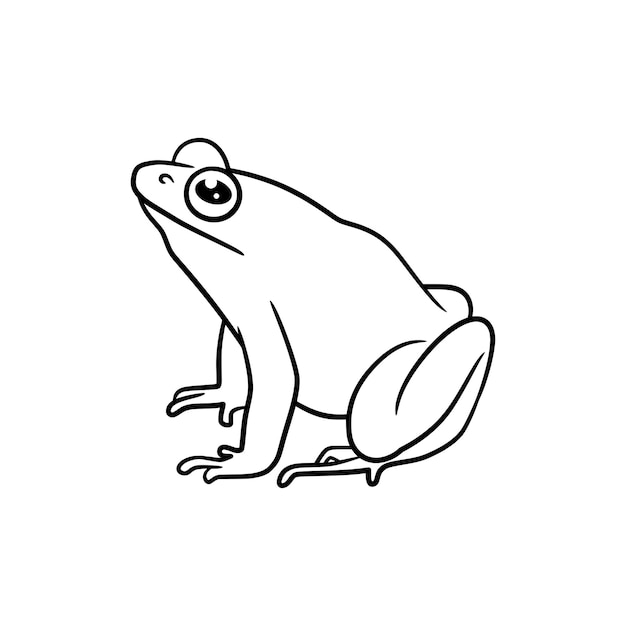 Dibujos de ranas para colorear