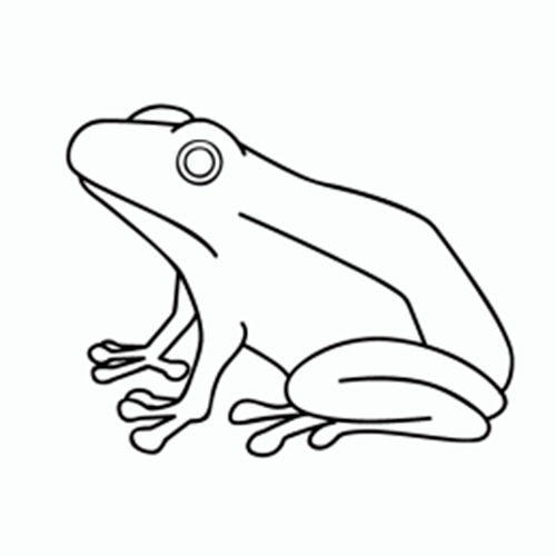 Dibujos de ranas para colorear