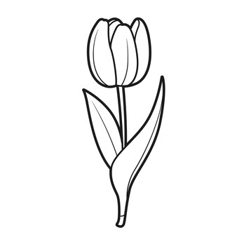 Dibujos de tulipan para colorear