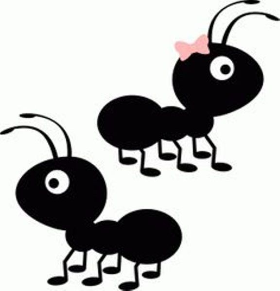 Dibujos de hormigas infantiles para colorear