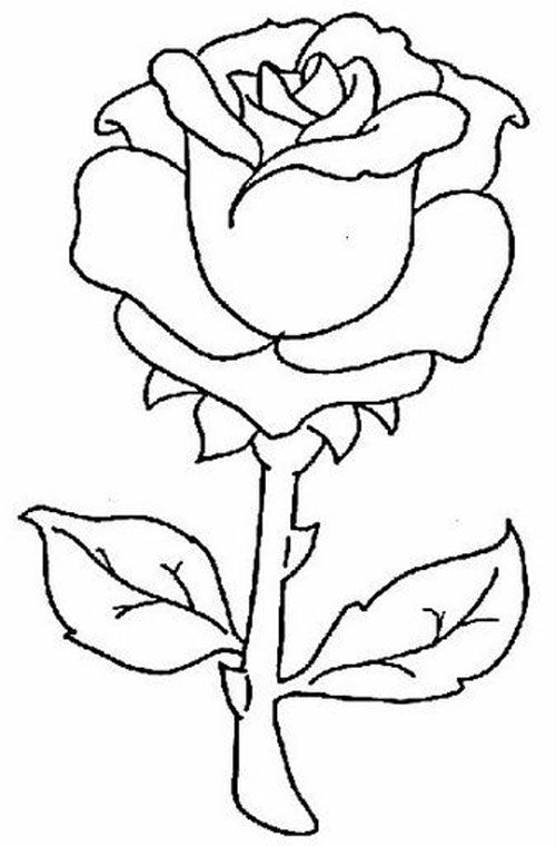 Dibujos de rosas rojas para colorear